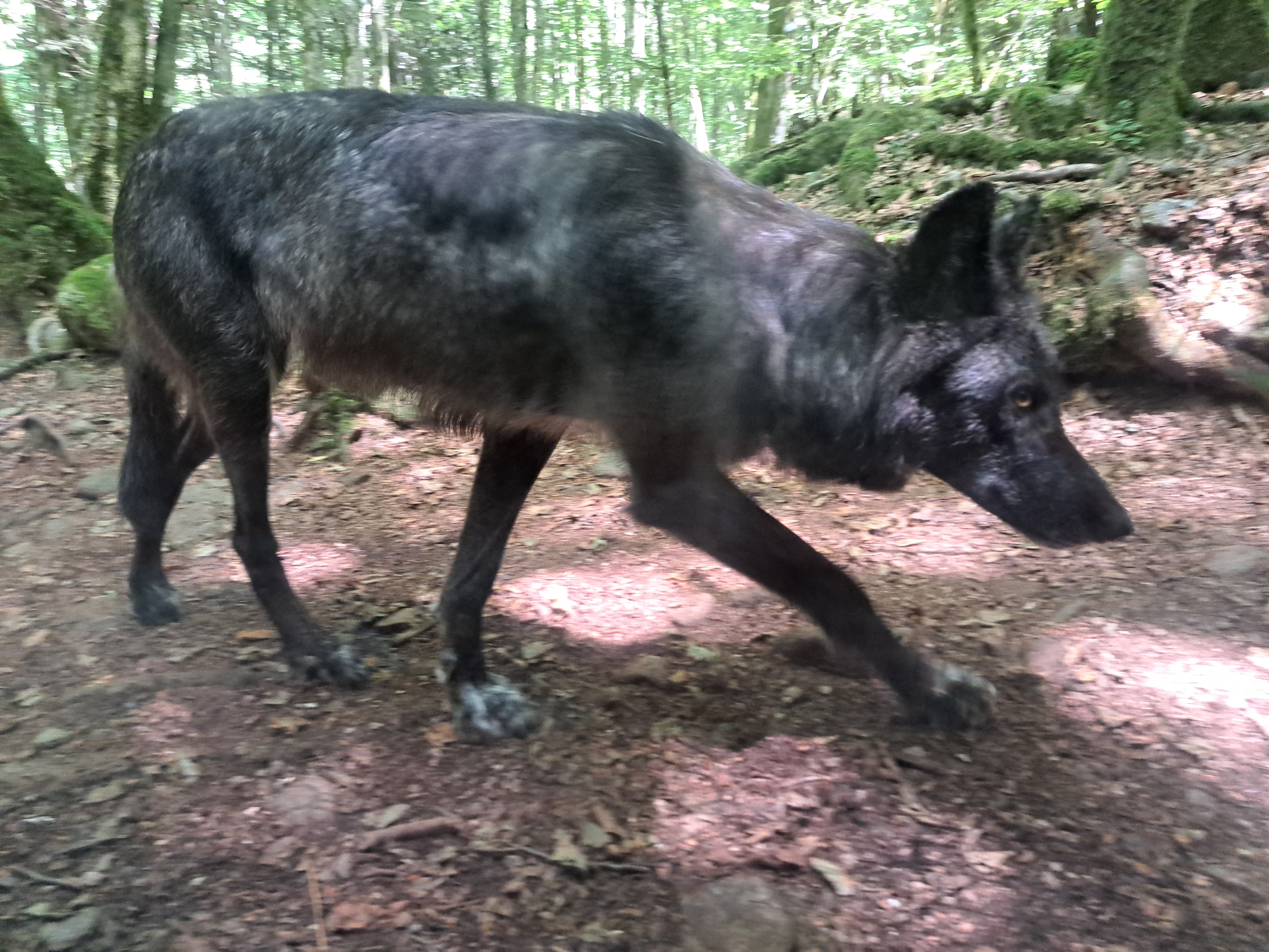 Photo n° 1 de l'avis de A..b fait le 17/08/2023 à 21:57
