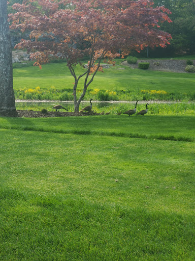 Golf Club «Guilford Lakes Golf Club», reviews and photos, 4 Hickory Rd, Guilford, CT 06437, USA