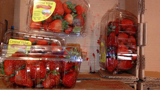 Supermarket «ALDI», reviews and photos, 424 E Pioneer Pkwy, Grand Prairie, TX 75051, USA