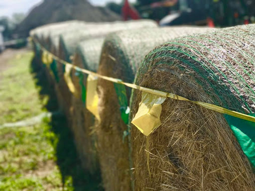 Tractor Dealer «James R Rosencrantz & Son Inc», reviews and photos, 184 South Rd, Kensington, NH 03833, USA