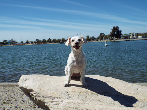 Pet Supply Store «PetSmart», reviews and photos, 19320 Nordhoff Way, Northridge, CA 91324, USA