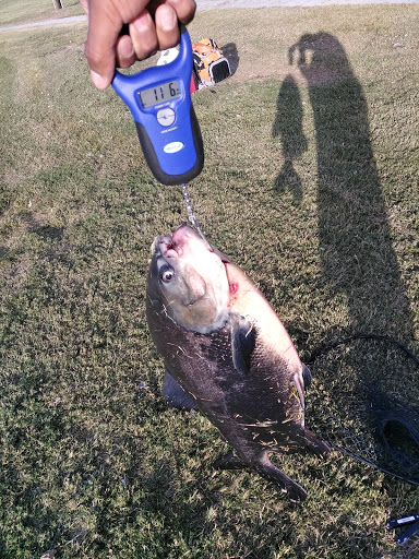 Park «Greer Park», reviews and photos, 6900 W McFadden Ave, Huntington Beach, CA 92647, USA