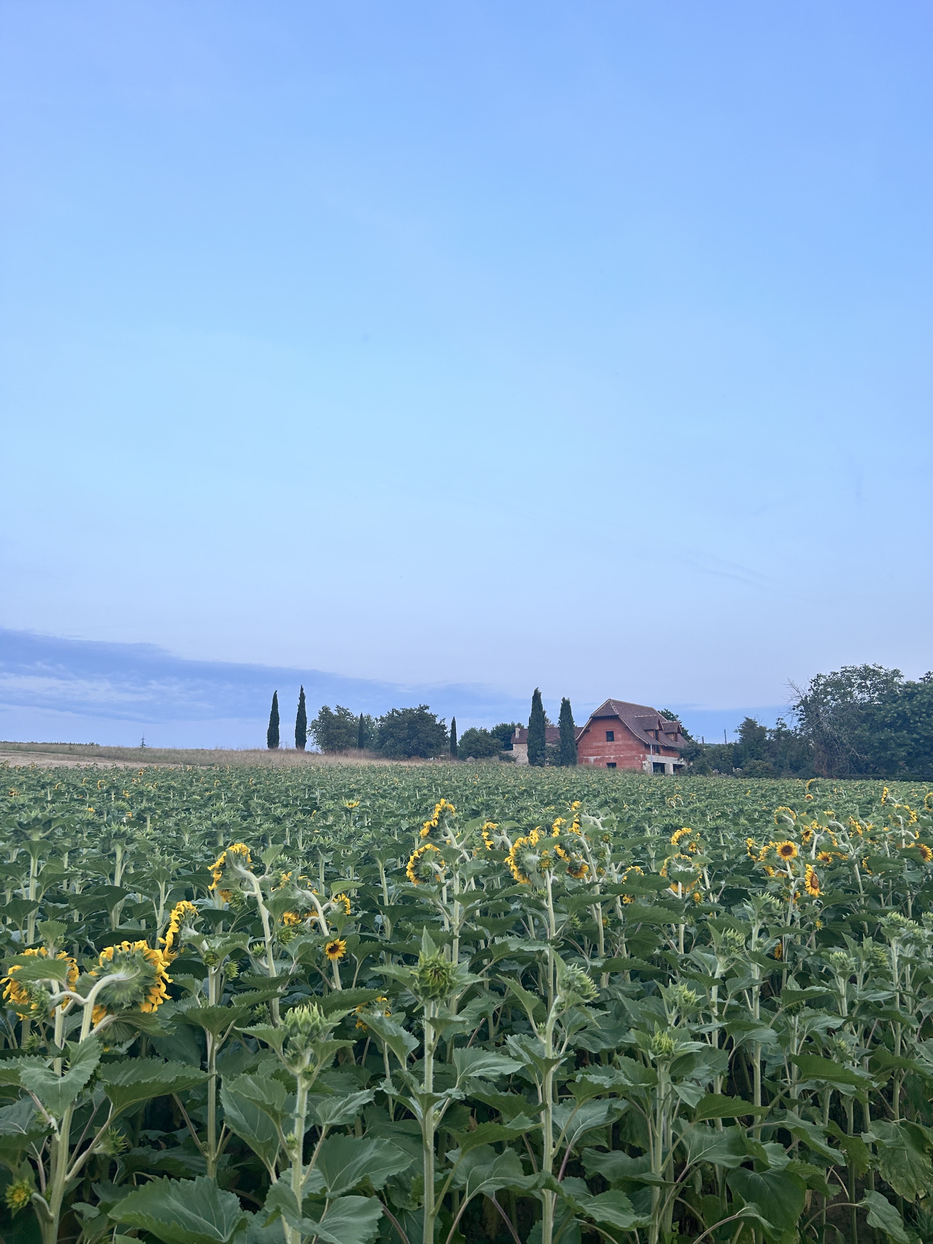 Photo n° 17 de l'avis de Beth.a fait le 12/09/2023 à 15:42