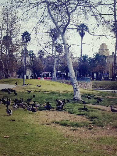 Community Center «Heritage Park and Community Center», reviews and photos, 1381 E Palomar St, Chula Vista, CA 91913, USA