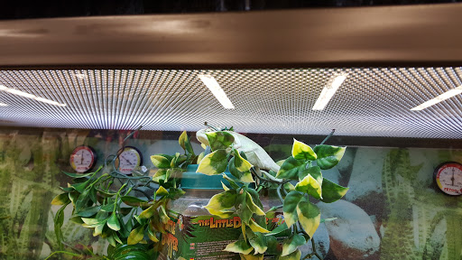 Pet Supply Store «Petco Animal Supplies», reviews and photos, 30697 US Hwy 19 N, Palm Harbor, FL 34684, USA