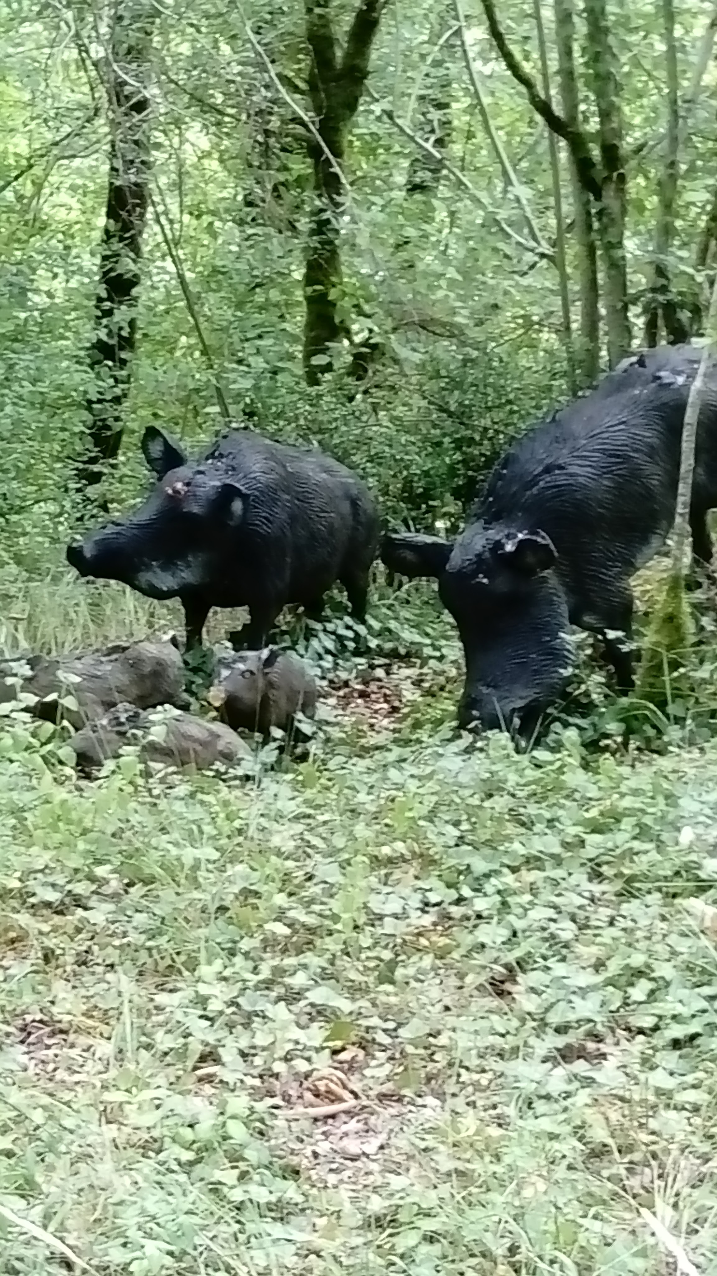 Photo n° 2 de l'avis de Isabelle.o fait le 28/07/2020 à 20:34