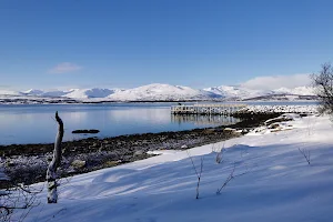 Tromso southern beach image