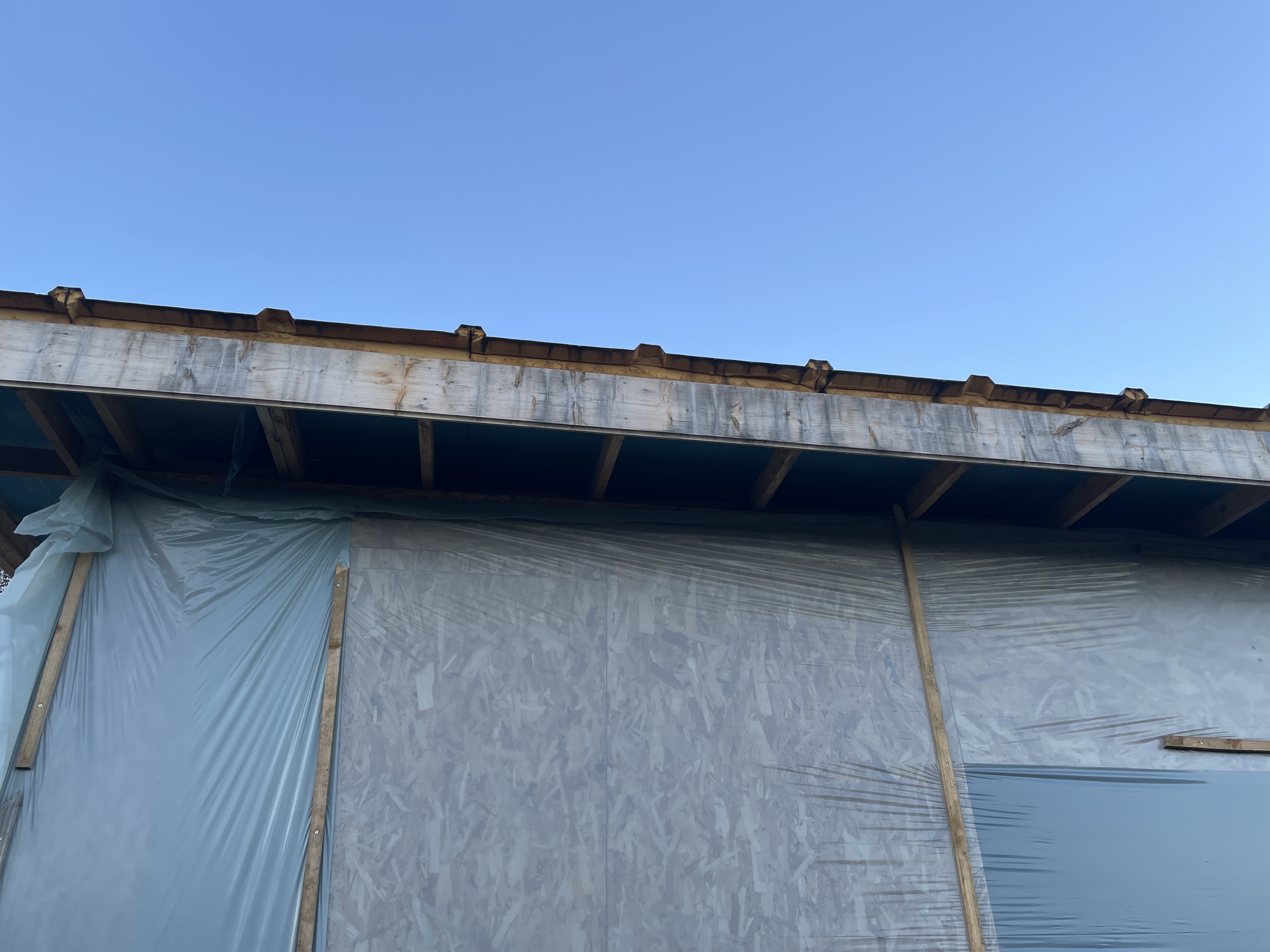 Photo n° 2 de l'avis de Gavin. fait le 17/12/2023 à 20:47