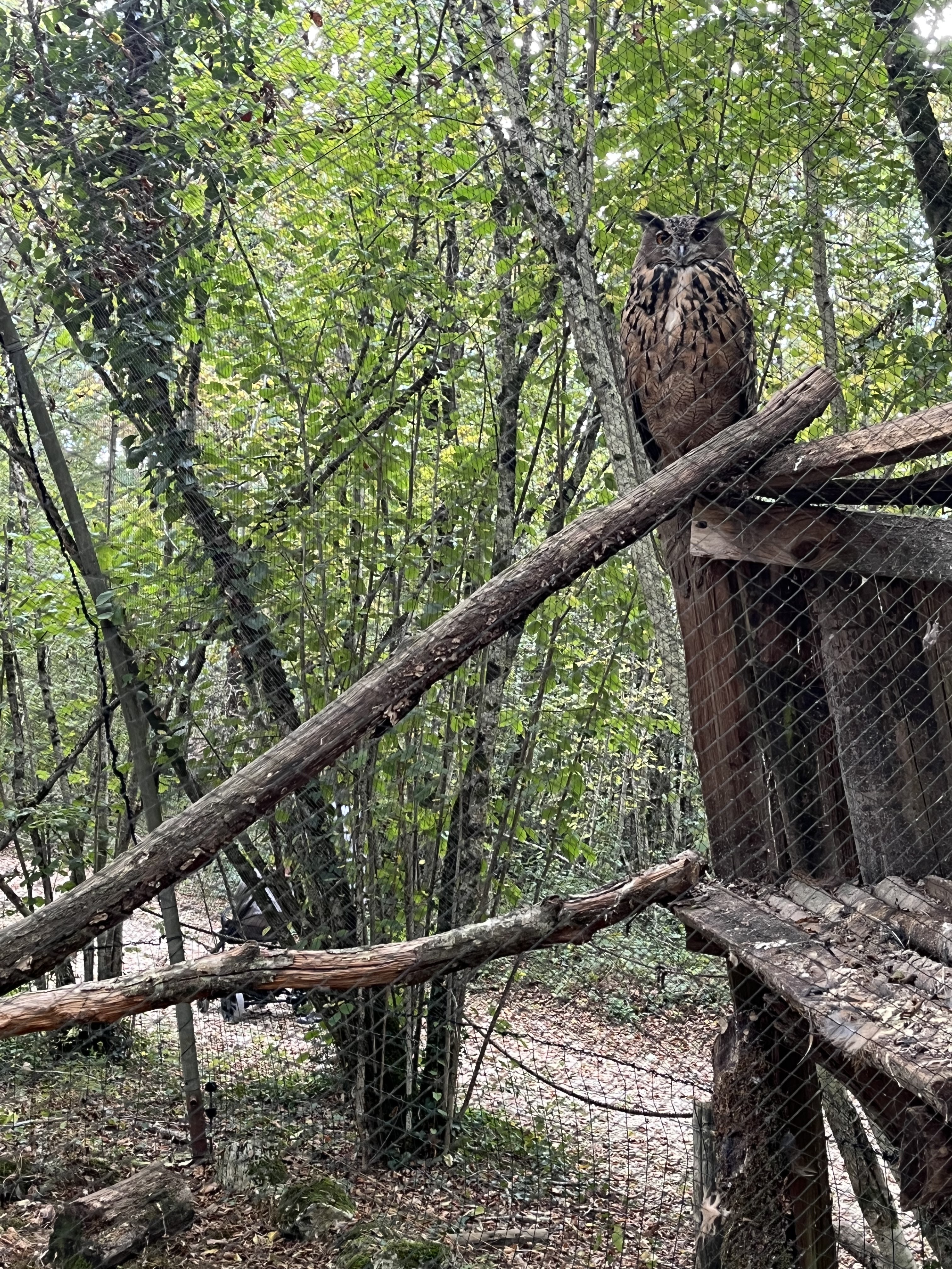 Photo n° 2 de l'avis de pauline.a fait le 04/09/2023 à 20:11