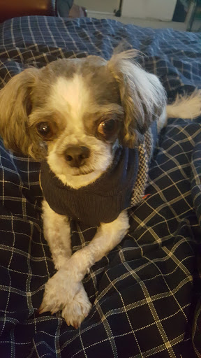 Vaccines N More image