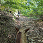 Photo n°8 de l'avis de Jochen.� fait le 13/03/2023 à 18:57 sur le  Agriturismo Cornacchino Viaggi e Vacanze a Cavallo e non solo à Castell'Azzara