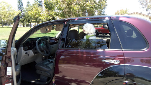 Park «Veterans Park», reviews and photos, 4554 Avenida Granada, Cypress, CA 90630, USA