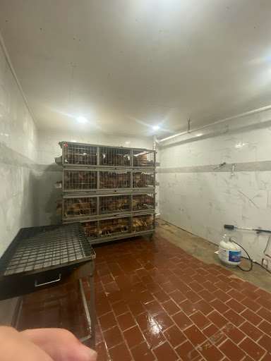 Grocery Store «Sandys Poultry Market», reviews and photos, 305 Madison Ave, Plainfield, NJ 07060, USA