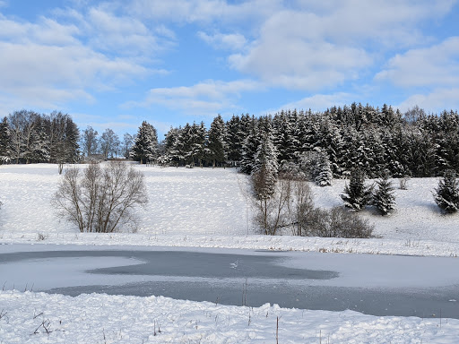 Rodelhang am Pfeiferberg