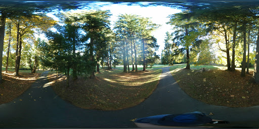 Park «Mark Twain Park», reviews and photos, 10625 132nd Ave NE, Kirkland, WA 98033, USA