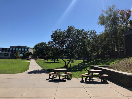 University «University of Hartford», reviews and photos