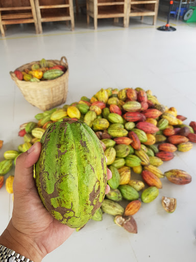 Top 20 cửa hàng bán socola Huyện Châu Thành Trà Vinh 2022