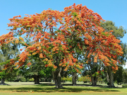 Country Club «Orangebrook Golf & Country Club», reviews and photos, 400 Entrada Dr, Hollywood, FL 33021, USA