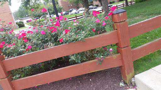 Auto Parts Store «AutoZone», reviews and photos, 313 2nd St, Laurel, MD 20707, USA