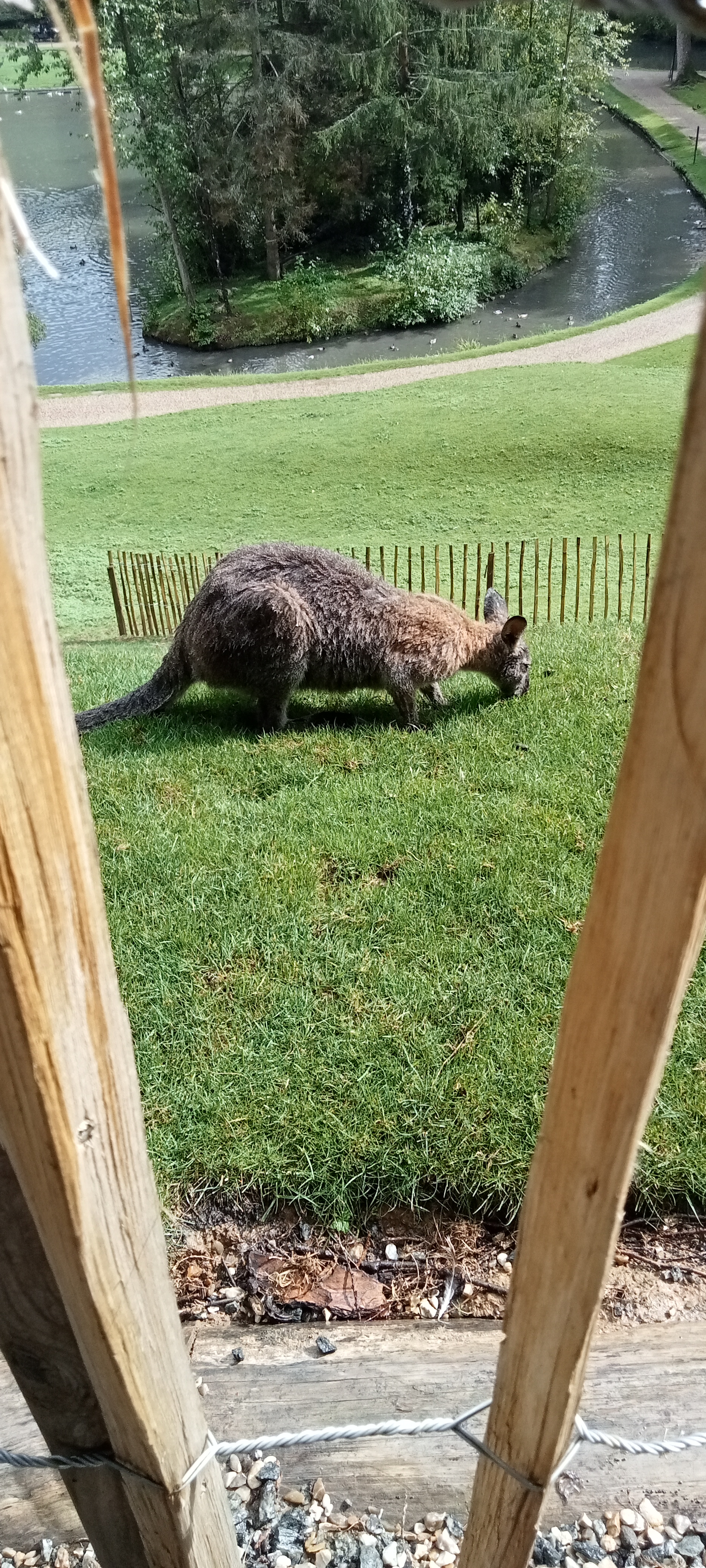 Photo n° 2 de l'avis de Janine.o fait le 09/09/2023 à 19:18