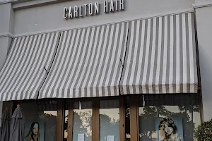 Carlton Hair Salons image