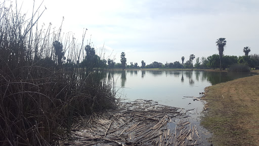 Golf Course «Madera Municipal Golf Course», reviews and photos, 23200 Avenue 17, Madera, CA 93637, USA