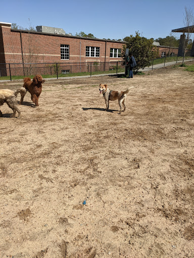 Skyland Dog Park