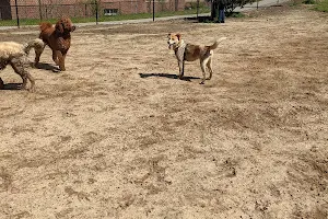 Skyland Dog Park image