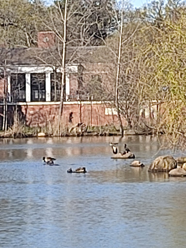 Park «Kissena Park», reviews and photos, 164-15 Booth Memorial Ave, Fresh Meadows, NY 11365, USA