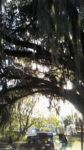 Homeless Shelter «Interfaith Emergency Services Inc», reviews and photos, 435 NW 2nd St, Ocala, FL 34475, USA