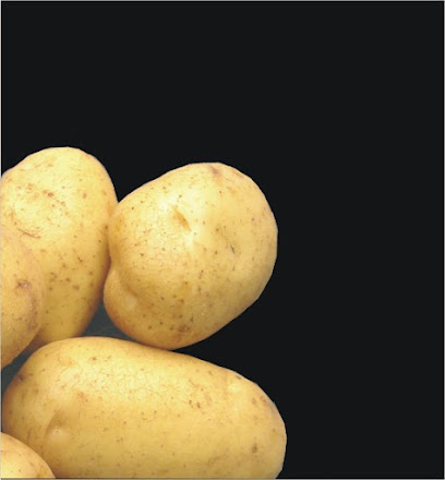Vanderhaegen Potatoes - The art of potatoes