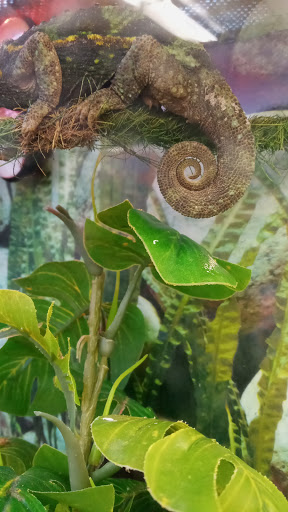 Pet Supply Store «Petco Animal Supplies», reviews and photos, 10 Sylvan St, Peabody, MA 01960, USA