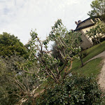 Photo n°47 de l'avis de Marco.a fait le 22/04/2019 à 11:11 sur le  Gropparello Castle à Gropparello