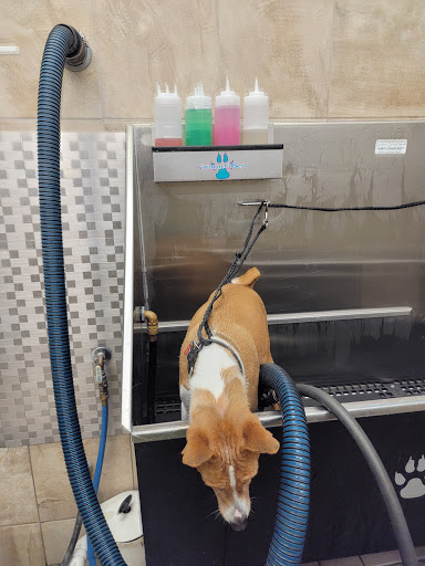 Pet Supply Store «Pet Supplies Plus», reviews and photos, 4250 N Alafaya Trail #240, Oviedo, FL 32765, USA