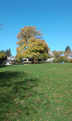 Park «Green Lake Park», reviews and photos, 7201 East Green Lake Dr N, Seattle, WA 98115, USA