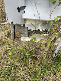 L & M Property Solutions LLC