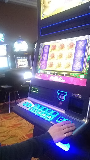 Casino «Lucky Dog Casino», reviews and photos, 19330 US-101, Skokomish, WA 98584, USA