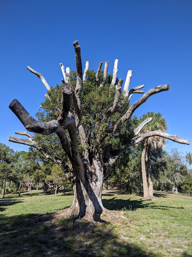 Park «John S. Taylor Park», reviews and photos, 1100 8th Ave SW, Largo, FL 33770, USA