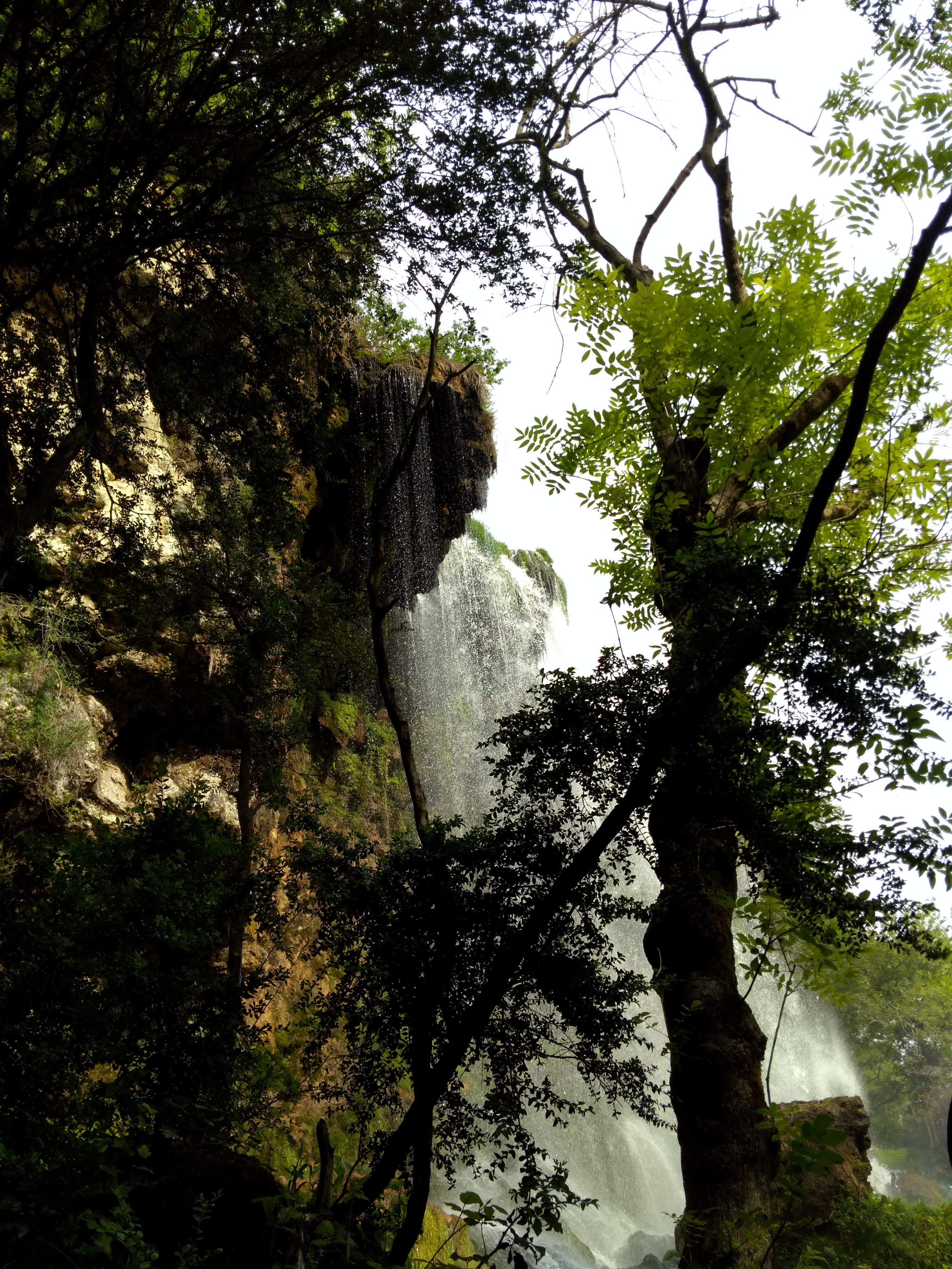Photo n° 1 de l'avis de Thierry.v fait le 27/06/2018 à 10:34