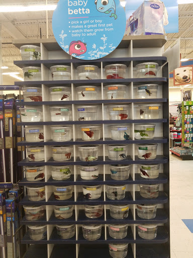 Pet Supply Store «Petco Animal Supplies», reviews and photos, 92 Cluff Crossing Rd, Salem, NH 03079, USA