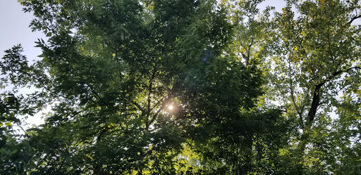 Nature Preserve «Grange Insurance Audubon Center», reviews and photos, 505 W Whittier St, Columbus, OH 43215, USA