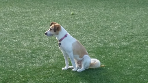 Park «Newbridge Rd Park», reviews and photos, 2600 Newbridge Rd, Bellmore, NY 11710, USA