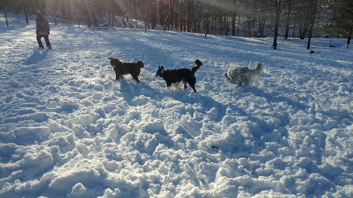 Dog Park «Worthington Off Leash Dog Park», reviews and photos, 8170 Hillsborough Rd, Ellicott City, MD 21043, USA