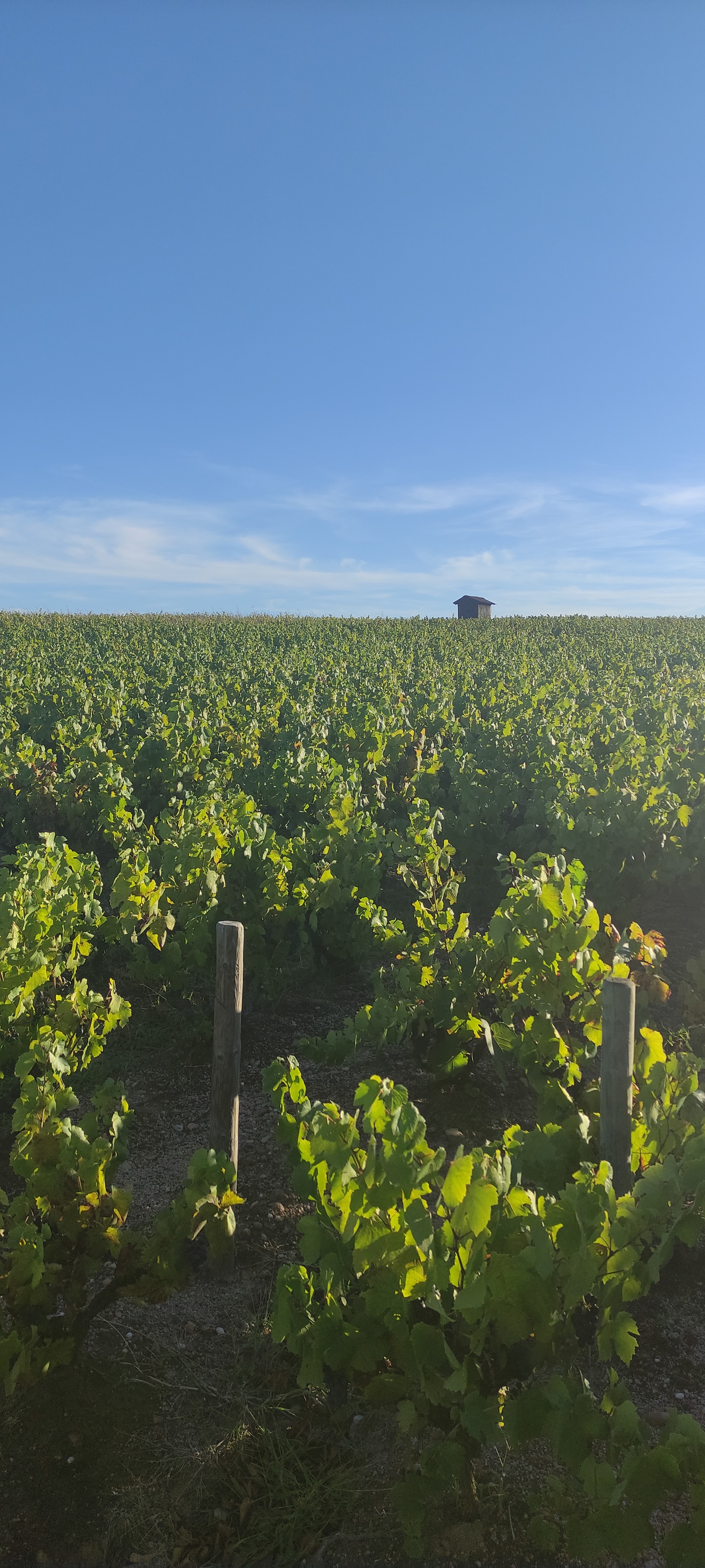 Photo n° 4 de l'avis de angella.l fait le 20/08/2022 à 17:43