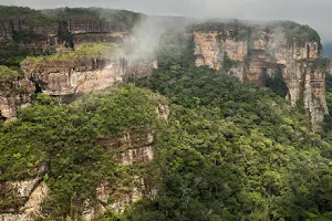 Chiribiquete National Park image