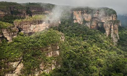 Parque Nacional Natural Serranía de Chiribiquete