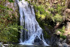 Cooper Canyon Falls image