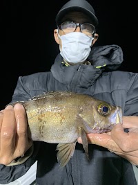 瀬渡し 遊漁船 武蔵