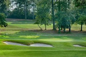 Forest Hills Golf Course image