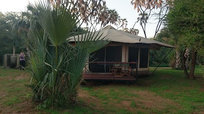 Photos of Ashnil Samburu Camp